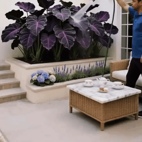 Semena PlantiColor pro zimu